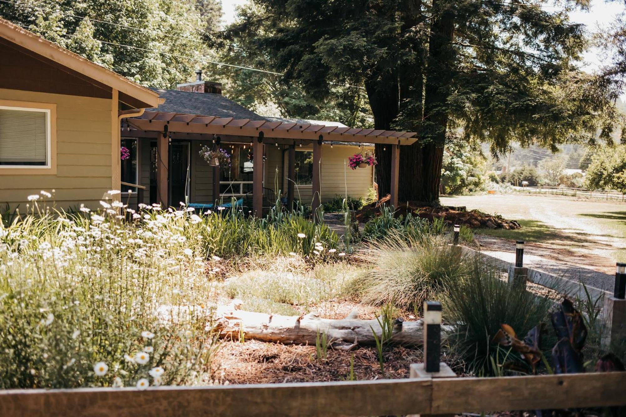 Taylor Creek Lodge Gold Beach Exterior foto